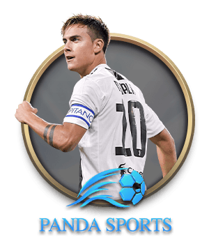 banner-panda_sports